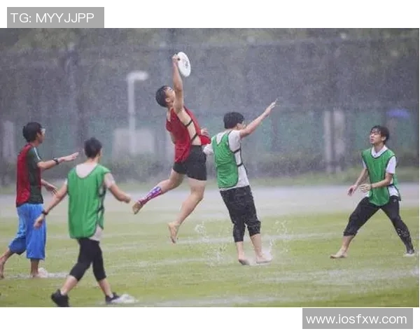 赛后分析：上海飞盘队与深圳飞盘队的战术对决与启示