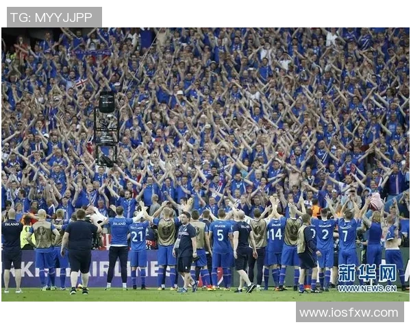 冰岛对阵奥地利精彩直播尽在CCTV全程报道不容错过