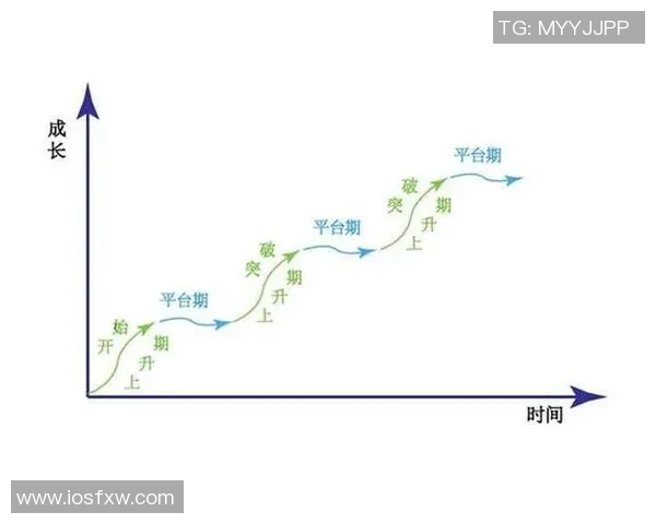 代怀博的成长之路与未来展望：从挑战到机遇的精彩旅程