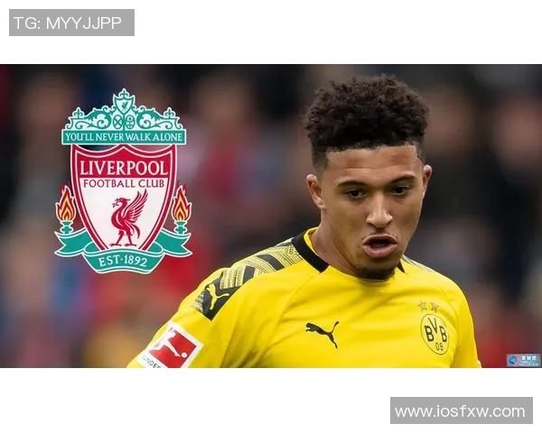 桑乔的足球之路：从天才少年到绿茵场上的闪耀明星