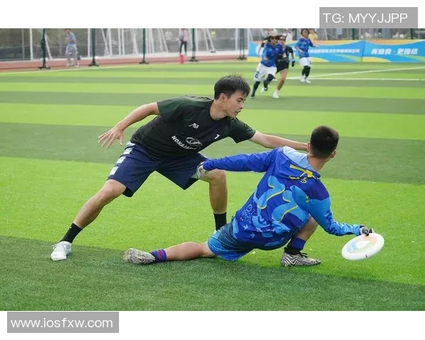 北京飞盘队在飞盘比赛中创下新高经验排名引发热议