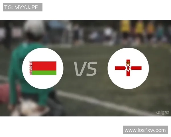 白俄罗斯与爱尔兰足球对决精彩回顾及赛后分析