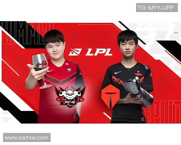 赛后复盘TES与JDG对决中的节奏掌控与战术分析