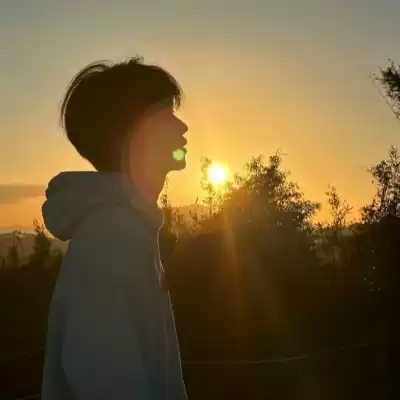 莘晏然